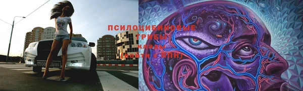 синтетический гашиш Ладушкин