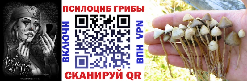 Псилоцибиновые грибы мицелий  продажа наркотиков  Щёлково 